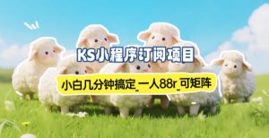 小程序订阅项目_小白几分钟搞定，一人88米，可矩阵(已测到账)-世康聊项目