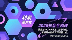 2026抖音全域课，流量结构、ROI设定、起号路径，掌握平台新规下利润最大化-世康聊项目