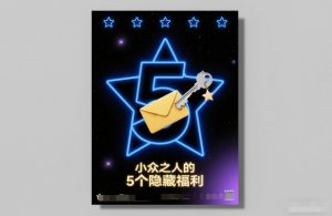 付费文章：小众之人的5个隐藏福利-世康聊项目