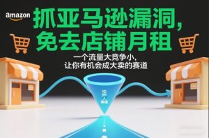 抓亚马逊漏洞,免去店铺月租,一个流量大竞争小,让你有机会成大卖的赛道-世康聊项目