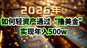 2026年如何轻资产通过“撸美金”实现年入500w-世康聊项目
