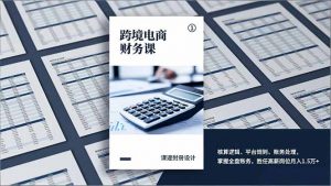跨境电商财务课，核算逻辑、平台规则、账务处理，掌握全盘账务，胜任高薪岗位月入1.5万+-世康聊项目