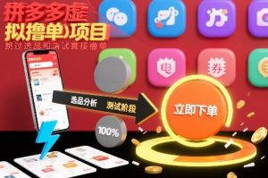 拼多多虚拟撸单项目，跳过选品和测试直接撸单-世康聊项目