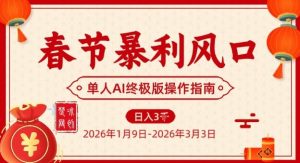 春节暴利风口项目，单人AI落地翻身终极版实操-世康聊项目