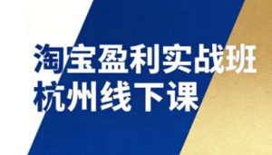 淘宝盈利实战班杭州线下课12月26-28日(音频+字幕)，帮你掌握SOP流程+12门核心技术-世康聊项目