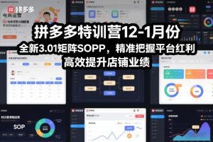 拼多多特训营12-1月份，全新3.01矩阵Sop，精准把握平台红利，高效提升店铺业绩-世康聊项目