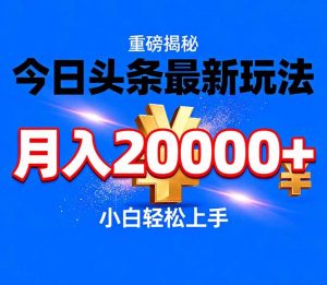 今日头条代运营最新玩法，轻轻松松月入20000＋-世康聊项目