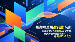 视频号直播盈利线下课：付费投流+三频共振+私域升单，两天两夜打通盈利闭环，月利润5-15万-世康聊项目