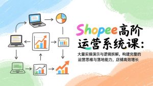 Shopee高阶运营系统课：大量实操演示与逻辑拆解，构建完整的运营思维与落地能力，店铺高效增长-世康聊项目