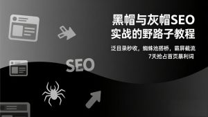 黑帽与灰帽SEO实战的野路子教程：泛目录秒收，蜘蛛池搭桥，霸屏截流，7天抢占首页暴利词-世康聊项目