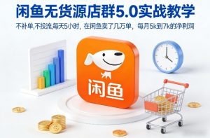 闲鱼无货源店群5.0实战教学，不补单，不投流，每天5小时，在闲鱼卖了几万单，每月5k到7k的净利润-世康聊项目