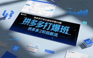 拼多多打爆班原创技术第54期，拼多多2阶段断流-世康聊项目