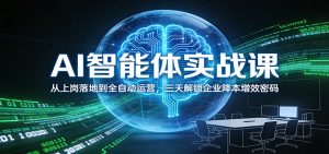 AI智能体实战课：从上岗落地到全自动运营，三天解锁企业降本增效密码-世康聊项目