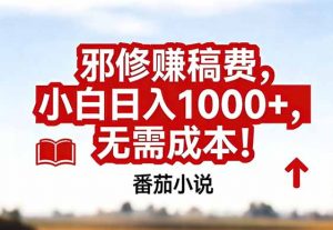 番茄小说赚稿费邪修玩法无需成本，真实日入1000+，超级简单！-世康聊项目