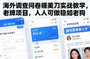 海外调查问卷賺美刀实战教学，老牌项目，人人可做稳如老狗-世康聊项目