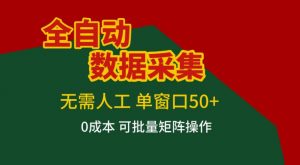 全自动数据采集，无需人工，单窗口50+，0成本可批量矩阵操作【揭秘】-世康聊项目
