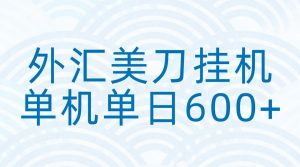 外汇美刀挂机：全自动挂机赚美金，单机600+-世康聊项目