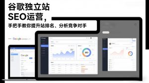 谷歌独立站SEO运营，手把手教你提升网站排名、分析竞争对手(更新2026)-世康聊项目