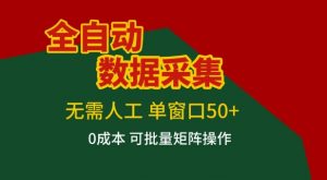 全自动数据采集项目，无需人工，单窗口可达50+收益，操作简单无难度，一个人也能轻松实现矩阵【揭秘】-世康聊项目