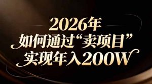 站在2026年的十字路口：一个普通人如何通过卖项目实现年入200万-世康聊项目