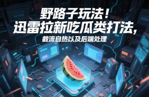 野路子玩法！迅雷拉新吃瓜类打法，截流自热以及后端处理-世康聊项目