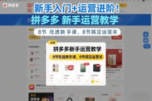 新手入门+运营进阶！拼多多新手运营教学，8节吃透新手课，8节搞定运营关-世康聊项目