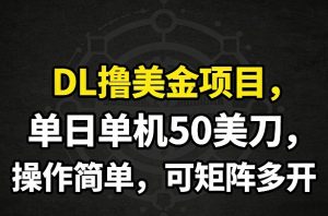 DL撸美金项目，单日单机50美刀，操作简单，可矩阵多开-世康聊项目