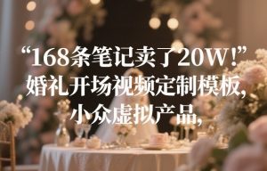 168条笔记卖了20W！婚礼开场视频定制模板，小众虚拟产品-世康聊项目