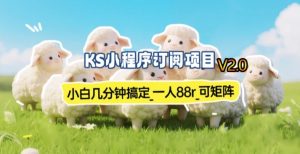 【新一期】小程序订阅_小白几分钟70-80r，可矩阵(已测到账)-世康聊项目