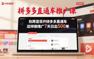 拼多多直通车推广课,别再盲目开拼多多直通车,这样做推广7天日出500单-世康聊项目