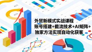 外贸新模式实战课程-更新2月,账号搭建+截流技术+AI矩阵+独家方法实现自动化获客-世康聊项目