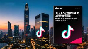 TikTok出海电商加速特训营-更新：快速掌握海外市场运营规则，实现高效变现-世康聊项目