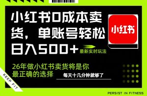 小红书0成本AI卖货，单账号轻松日入500+，完全托管AI，可矩阵放大-世康聊项目