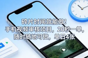 碎片时间就能做！手机视频审核项目，20秒一单，随时随地可做，单日4张+【揭秘】-世康聊项目