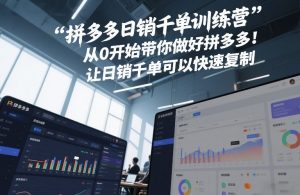 拼多多日销千单训练营，从0开始带你做好拼多多，让日销千单可以快速复制(更新26年2月)-世康聊项目