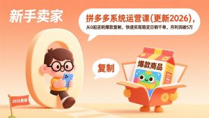 拼多多系统运营课(更新2026-世康聊项目