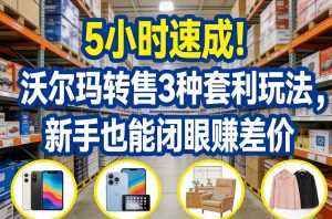 5小时速成!沃尔玛转售3种套利玩法,新手也能闭眼賺差价-世康聊项目