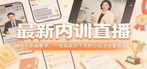 最新内训直播,4天系统教学,一线实战派干货核心玩法全套复盘-世康聊项目