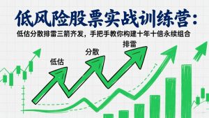 低风险股票实战训练营:低估分散排雷三箭齐发,手把手教你构建十年十倍永续组合-世康聊项目