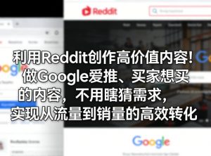 利用Reddit创作高价值内容!做Google爱推、买家想买的内容,不用瞎猜需求,实现从流量到销量的高效转化-世康聊项目