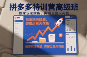 拼多多特训营高阶班,独家玩法赋能,突破运营天花板(更新26年3月27日)-世康聊项目