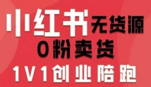 小红书无货源0粉电商课，开店准备、选品策略、笔记撰写、视频剪辑、数据分析、账号打造、资料文档(更新26年3月16日)-世康聊项目