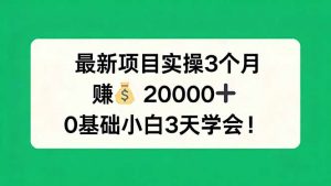 最新项目实操3个月,赚钱20000+,0基础小白3天学会!-世康聊项目