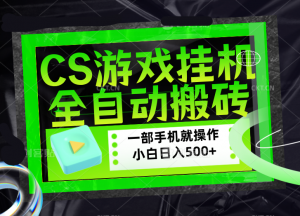 CSGO游戏挂机捡漏搬砖,超稳定的项目,带领1000+小白实现日入500+,数据可视频验证-世康聊项目