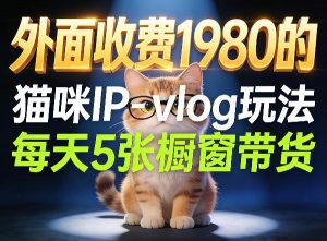 宠物赛道猫咪IP-vlog玩法，26条视频涨粉29W，每天5张橱窗带货拆解-世康聊项目
