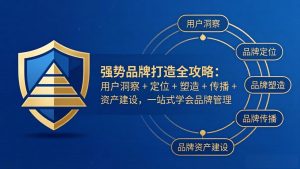 强势品牌打造全攻略：用户洞察 + 定位 + 塑造 + 传播 + 资产建设，一站式学会品牌管理-世康聊项目