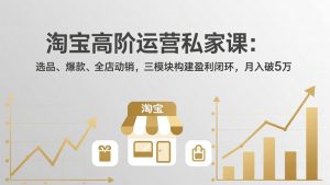 淘宝高阶运营私家课(更新26年4月-世康聊项目