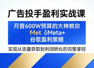 广告投手盈利实战课，月管600W预算的大神教你Meta+谷歌盈利策略，实现从流量获取到利润转化的完整掌控-世康聊项目