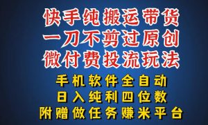 最新黑科技快手搬运带货方法，手机就能操作，轻松带你日入四位数【揭秘】-世康聊项目