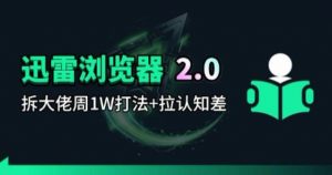 迅雷浏览器项目2.0_拆个大佬周1W的打法-世康聊项目